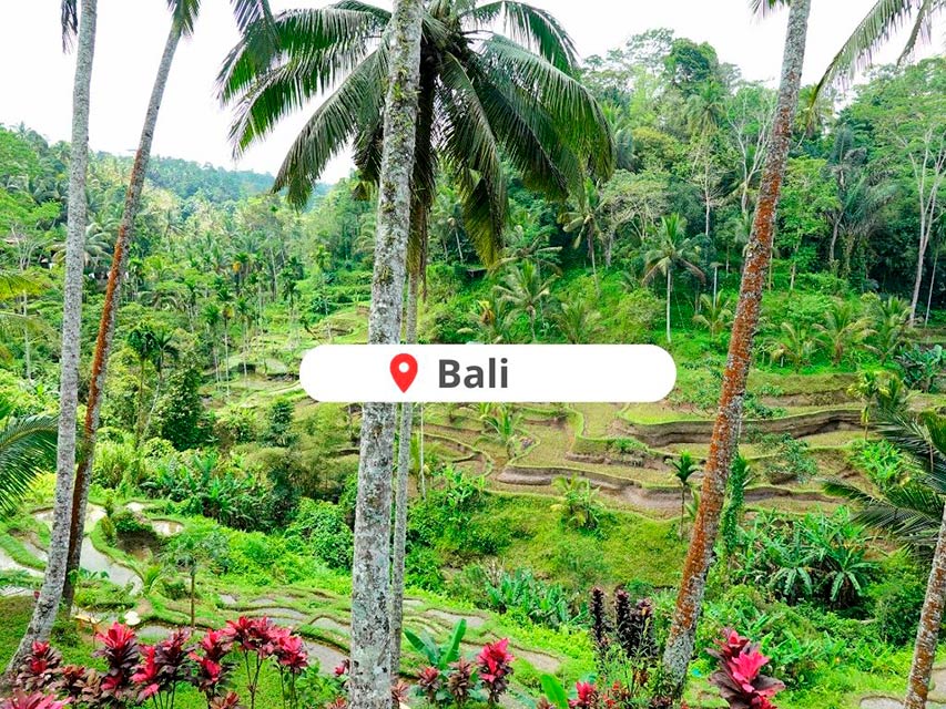 Tarjeta-Bali-Asia